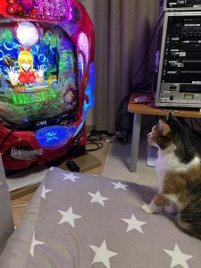 〔2026/09/05〕kaimoriさんの投稿