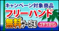 サマーキャンペーン。人気オプションフリーハンド無料サービス。