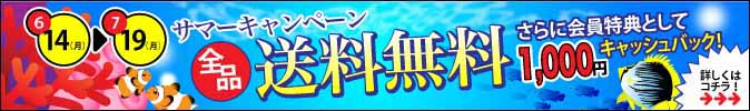 サマーキャンペーン。全品送料無料。会員登録で1,000円キャッシュバック