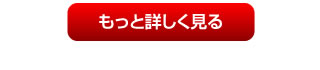 もっと詳しく見る